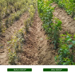 Gel polímero para agricultura, savia, resistente a la corrosión, para cacao en San Vincent Granadinas - Product Image 6