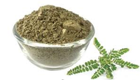 Extrait sec de Phyllanthus Niruri Bhuiamla de qualité supérieure, poudre naturelle d'ingrédient botanique à base de plantes pour le bien-être et les compléments nutritionnels