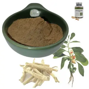 供应高品质ksm-66 ashwagandha提取物粉末10:1 & 胶囊500毫克散装