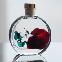 Flacon en verre plat pour parfum, directement de l'usine, flacon vide simple, diffuseur de parfum en verre pour la maison, flacon de parfum pour la maison