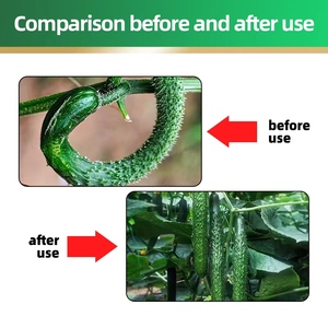 Favoriser la floraison et la fructification <span class=keywords><strong>Engrais</strong></span> agricole <span class=keywords><strong>Engrais</strong></span> de <span class=keywords><strong>concombre</strong></span> - Product Image 4