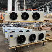 Pendingin Udara Evaporatif Cold Chain DD-65.2/360 65.2KW 42000m3/h Pendingin Ruangan Freezer untuk Distribusi Supermarket Produsen