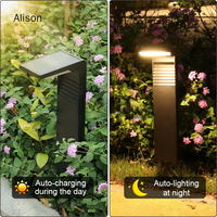 Lampe solaire LED pour pelouse, étanche IP54, écologique, extérieure, noire, blanc chaud, pour jardin, allée, sécurité, décorative, Alison