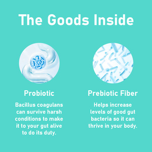 High Quality Prebiotic Probiotics Gummies Total Carbohydrate or Relieve Occasional Absorption Function Support Immune Health - Product Image 5