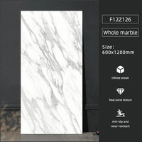 Prix de gros Carreaux de sol en porcelaine Sol moderne en faux marbre 60X120 Brique réfractaire Intérieur Matériaux de construction Mur caractéristique TV