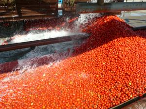 Ligne <span class=keywords><strong>de</strong></span> production <span class=keywords><strong>de</strong></span> machine à <span class=keywords><strong>pâte</strong></span> <span class=keywords><strong>de</strong></span> tomate entièrement automatique en acier inoxydable 304 à commande PLC, <span class=keywords><strong>prix</strong></span> d'usine, avec moteur à engrenages - Product Image 5