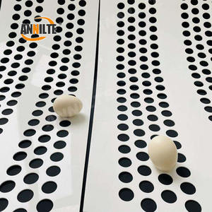 Annilte 500mm geperforeerde eiertransportband voor pluimveebedrijven - Product Image 6