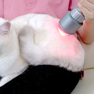 Flash Sale Veterinär-Lasertherapie-Physiotherapie-Maschine 810nm 980nm Wellenlänge für die Heilung von Haustier verletzungen - Product Image 5