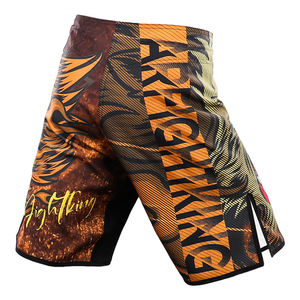 Short d'entraînement personnalisé MMA & BJJ Hommes Femmes Unisexe Séchage rapide Stretch dans les quatre sens Vêtements de combat légers - Product Image 2