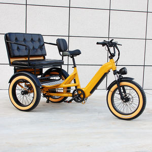Nouveau Tricycle Électrique à Pédales pour <span class=keywords><strong>2</strong></span> Passagers, Vélo à 3 Roues pour Adultes, Vélo-Taxi avec <span class=keywords><strong>2</strong></span> Sièges, Tricycle Adulte - Product Image 1