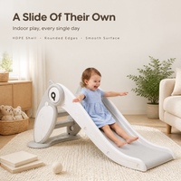 Toboggan intérieur pour enfants en plastique avec panneau latéral Hibou pour salle de jeux à domicile, crèche, OEM, ODM, vente en gros, marque privée