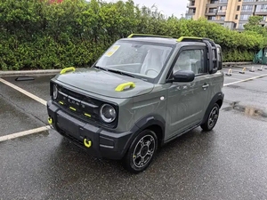 Geely <span class=keywords><strong>Panda</strong></span> 2025 <span class=keywords><strong>Panda</strong></span> Knight d'<span class=keywords><strong>occasion</strong></span>-210km d'autonomie, lignée Geely originale, voiture électrique urbaine fiable - Product Image 2