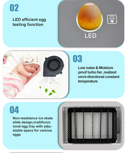 <span class=keywords><strong>HHD</strong></span> automatique de marque <span class=keywords><strong>hhd</strong></span> 12 incubateur d'oeufs de poulet YZ9-12 - Product Image 5