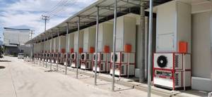 Tùy chỉnh hạt cà phê hệ thống sấy tự động lưới vành đai loại ca cao đậu cau hạt cà phê căn cứ Máy sấy khô máy cung cấp - Product Image 2