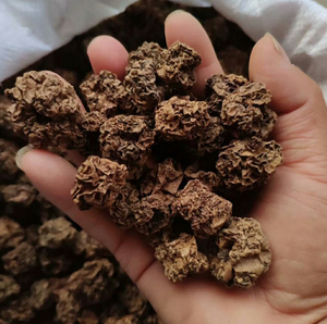 100% אקטנידיה מיובשת אורגנית פוליגמה חרקים Gall פירות ענבי כסף טבעיים מזון לחיות מחמד עשיר בחלבון בשקית לחתולים - Product Image 4