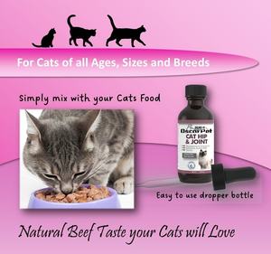 OEM/ODM Oscar cairan hewan peliharaan untuk kucing Hip & suplemen sendi Glucosamine & Chondroitin pereda nyeri & peningkatan mobilitas - Product Image 4