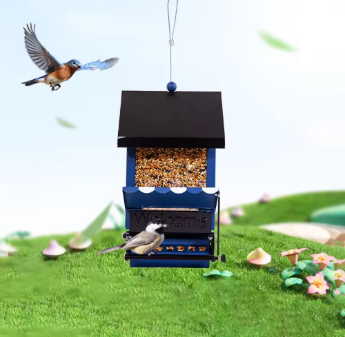 sqirrel feeder camera