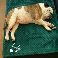 Personalisierte Hunde- und Katzendecken, Maßgefertigte Flanell-Haustierdecke mit Besticktem Namen, Geschenke für Tierbesitzer, Geeignet für Alle Jahreszeiten