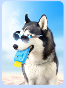 Cani che si raffreddano congelabili per cani da masticare giocattolo Non tossico per il riempimento dell'acqua - Product Image 5