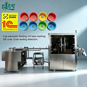 Système de marquage laser automatique par code QR avec autofocus et inspection visuelle pour le rejet des codes QR et des dates sur les bouchons de bouteilles - Product Image 4