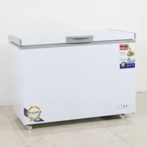 Commercial custom capacity restaurant refrigerator mini deep freezer horizontal commercial freezer