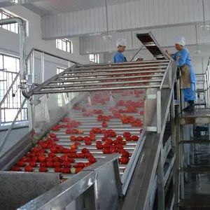 Automation Anlage industrielle Herstellung Tomatenpaste Produktionslinie Tomatenverarbeitungsmaschine