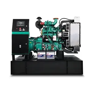 Cummins 엔진 4B3.9-G2 를 장착 한 공장 직접 판매 고품질 20kw 디젤 발전기 25kva 발전기