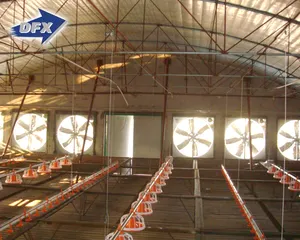 Prefabricated China Design Steel Aircraft Hanger/warehouse/workshop Building Steel Structure Price Chicken Poultry House