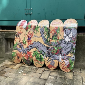 Planche de skateboard Baker T-Funk Riley ACOPD ROWAN TOXIC RATS 100% érable canadien Plus de tailles 7,75/8,0/8,25/8,375/8,5 pouces - Product Image 3
