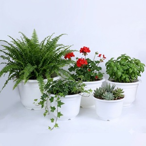 OEM Custom Logo PP Plastic Flower Nursery <b>Pot</b> with Excellent Drainage System, Durable Round Plant <b>Pot</b> <b>for</b> Seedlings <b>Herbs</b> Flower - Product Image 1