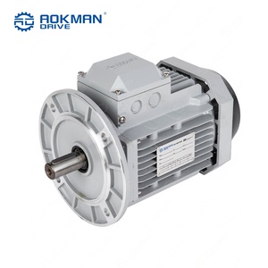 Motor de Inducción Trifásico Industrial IE3 de Alta Eficiencia, 220V 380V 50Hz CA, IP55 para Bomba de Agua - Product Image 4