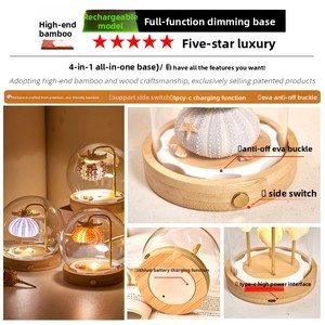 Lámpara Nocturna Recargable de Cristal con Forma de Erizo de Mar - Lista para Usar, Regalo para Niñas en Cumpleaños, San Valentín y Festival Qixi - Product Image 2
