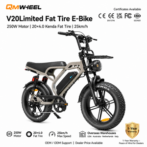 Bicicleta eléctrica QMHEEL V20 Limited con batería de litio de 48V, neumáticos gruesos, bicicleta eléctrica de montaña de 20 pulgadas, para Italia y Países Bajos (almacén). - Product Image 1