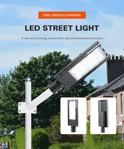 150W Led Street Light Ip66 For Outdoor Park Community Villa Town Road Lighting Led Street Light Manufacturers