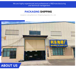 Indicatore Elettronico LED Li Dong Weighing Yaohua A12E OIML per Bilance da Pavimento e da Banco, Personalizzabile OEM/ODM, Precisione 1g, kg, Metallo - Product Image 4