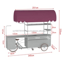 Tricycle de vente ambulante pour boissons froides et glaces, très demandé, Kaffeewagen, tricycle de présentation de sucettes glacées, vélo cargo pour boissons froides