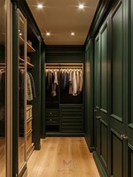 Système de dressing autoportant de luxe en bois vert forêt traditionnel avec éclairage LED et portes à battants, écologique, pour salle de sport et salon