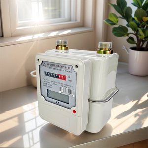 Compteur de gaz intelligent à membrane GPRS ZHONGYI G2.5 à lecture à distance 0,025-4 m³/h pour usage domestique - Product Image 1