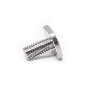 High Standard <strong>T</strong> <strong>Bolt</strong> Various Materials Factory Price Sales Cheap Steel DIN Compliant Plain <strong>T</strong> <strong>Bolt</strong> - Product Image 6