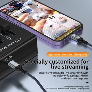 <span class=keywords><strong>C</strong></span>âble audio OTG pour carte son iPhone, adaptateur 8 broches de type <span class=keywords><strong>C</strong></span> vers <span class=keywords><strong>c</strong></span>âble d'éclairage pour iPhone 8 à 14 - Product Image 4