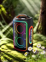 BKK / OEM 20W RMS Enceinte portable avec microphone intégré, boîtier en plastique, LED RGB, alimentation par batterie, Boombox sans fil pour extérieur