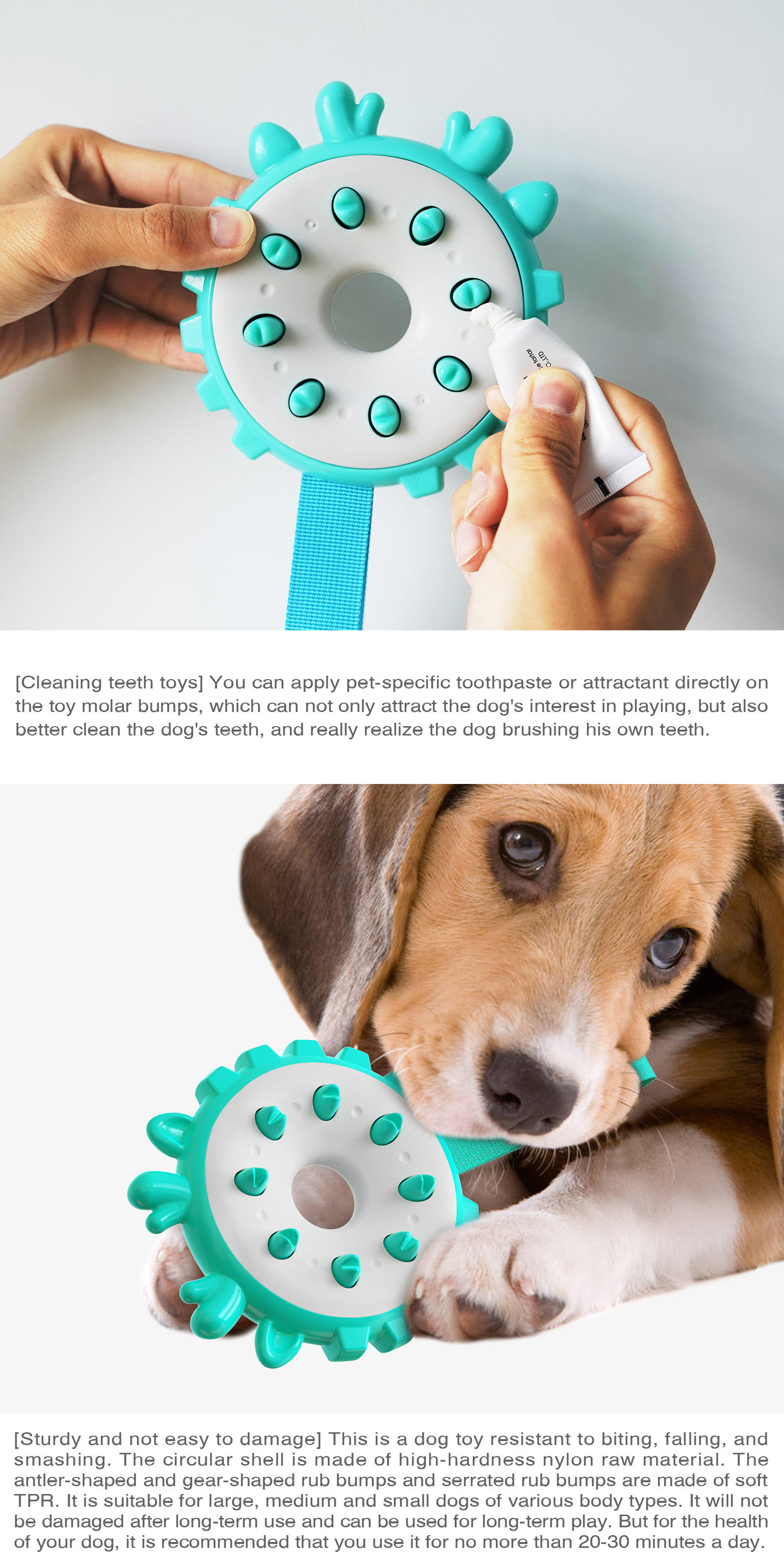 Company's New Popular Eco-Friendly Dog Training Ring Toothbrush