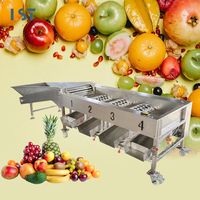 Industriële fruit- en groentesorteermachine met roestvrijstalen rollen, type 3-6, gradatie verstelbaar, efficiënt wassen