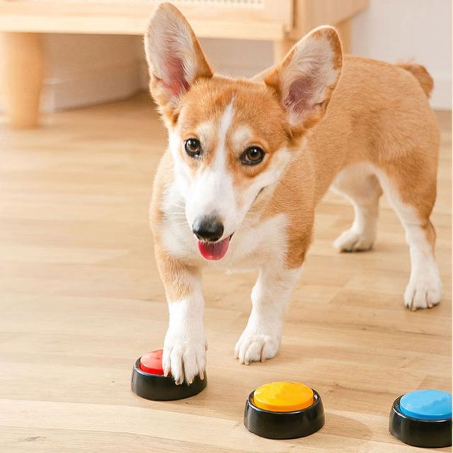 Recordable Talking Easy Carry Voice Recording Sound Button for Kids Pet Dog Interactive Toy Answering Buttons Party Noise Makers