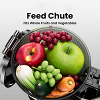 Custom Logo 5.51 Inch 250W Enkele Vijzel Kauwen Fruit Juicer Afzuigmachine Elektrische Professionele Slowjuicer Machine