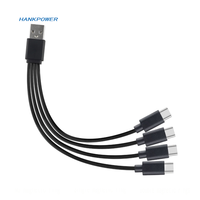 Câble de charge USB Type C 4 en 1 26AWG 5V 2A 2 cœurs 20cm