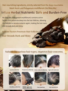 Alta calidad <span class=keywords><strong>Natural</strong></span> Polygonum Multiflorum Fo-ti Anti Grey Hair Prevention Care White Hair to Black <span class=keywords><strong>Tratamiento</strong></span> Suero permanente - Product Image 3
