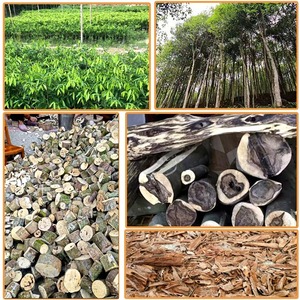 Legno di Agar Cinese Senyue, Materiale Vecchio, Incenso Aromatico Ecologico e Durevole, Ricco di Olio ed Esplosivo Oud in Chips/kg - Product Image 6