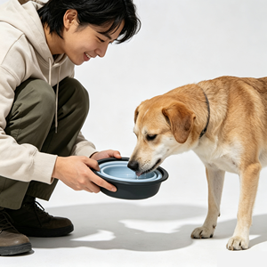 Bol pliable en silicone pour animaux de compagnie, pour nourriture et eau, portable, pliable, pour chiens et chats, utilisation en intérieur - Product Image 6