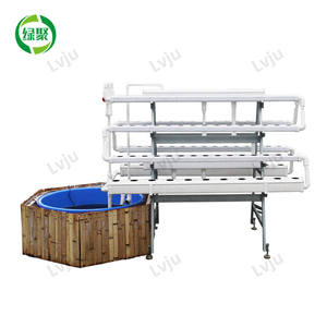 Système de Culture Aquaponique : Bassins <span class=keywords><strong>pour</strong></span> Fermes Piscicoles, <span class=keywords><strong>Serre</strong></span> Hydroponique, Aquarium <span class=keywords><strong>pour</strong></span> Poissons et Légumes - Product Image 4